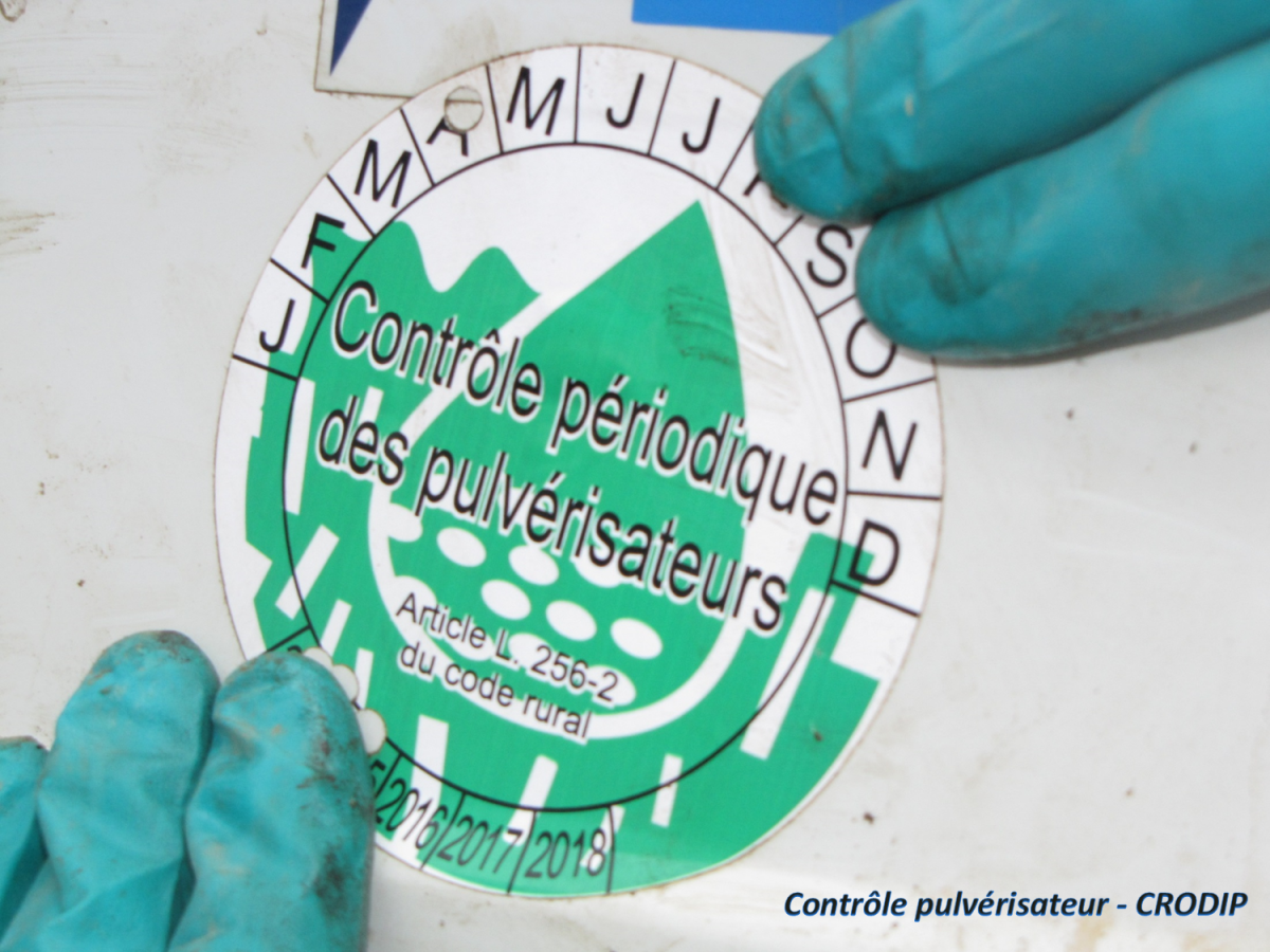 Pastille réglementaire - Attention en cas de contrôle de l’administration c’est le rapport qui sera demandé Pastille réglementaire - Attention en cas de contrôle de l’administration c’est le rapport qui sera demandé